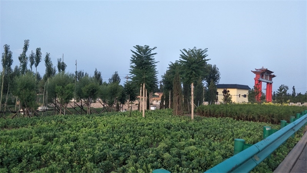 標(biāo)題：張家口經(jīng)開區(qū)腰站堡飲用水源地生態(tài)涵養(yǎng)綠化
瀏覽次數(shù)：2666
發(fā)表時間：2020-10-16