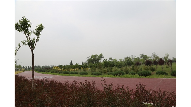 標(biāo)題：大青山南坡生態(tài)修復(fù)
瀏覽次數(shù)：2228
發(fā)表時(shí)間：2020-10-16