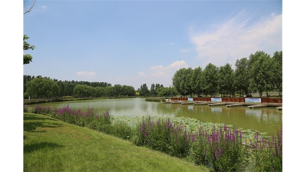 標(biāo)題：包頭市民公園
瀏覽次數(shù)：1675
發(fā)表時(shí)間：2020-10-16